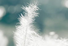 潜力股启东，上海后花园前景光明
